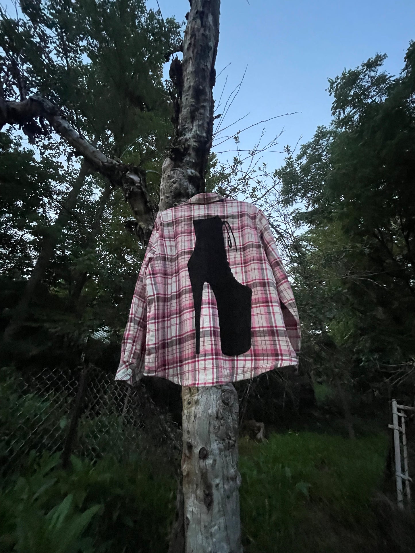 Pole Rider