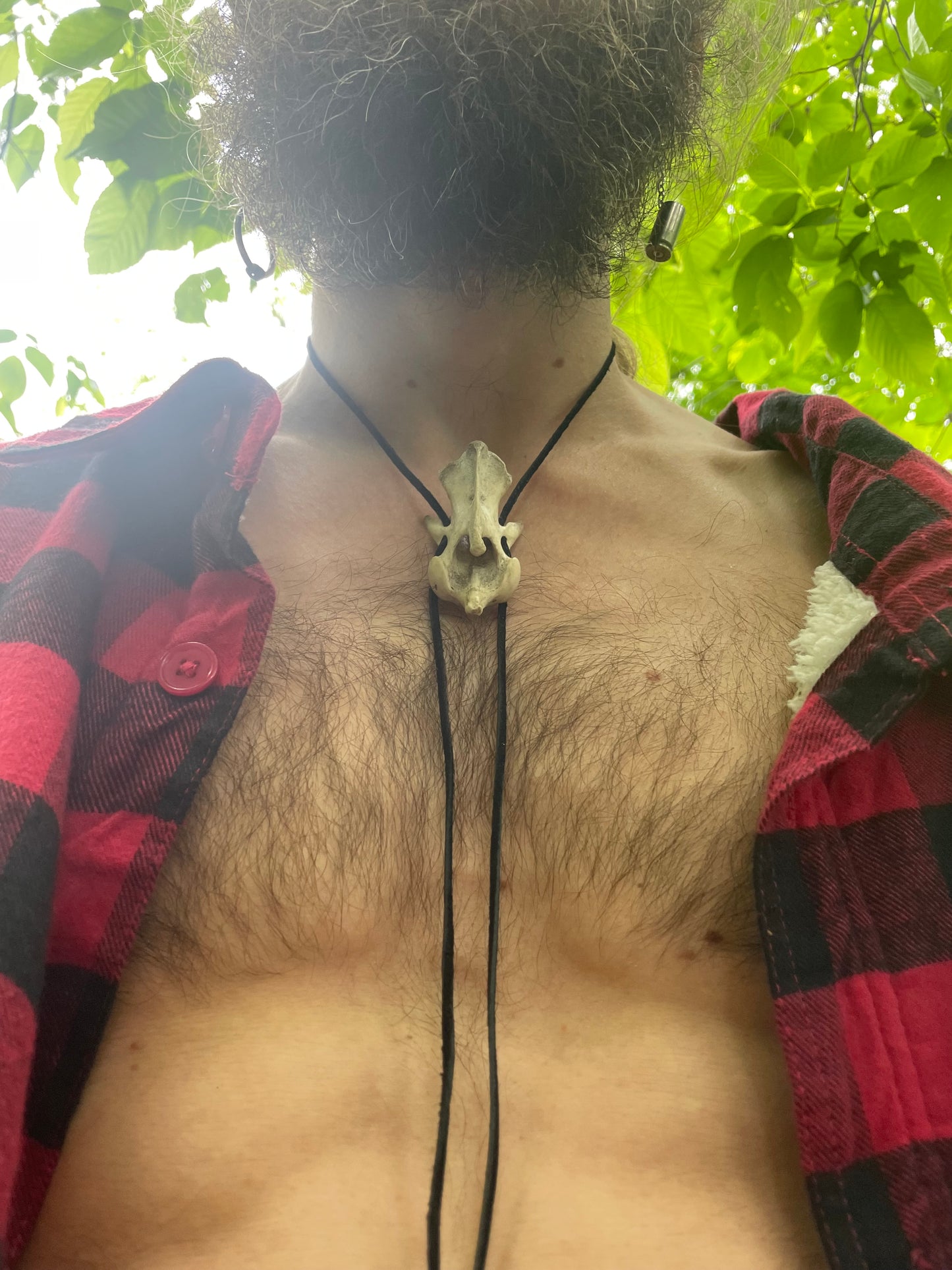 Coyote Vertebrae Bolo Tie