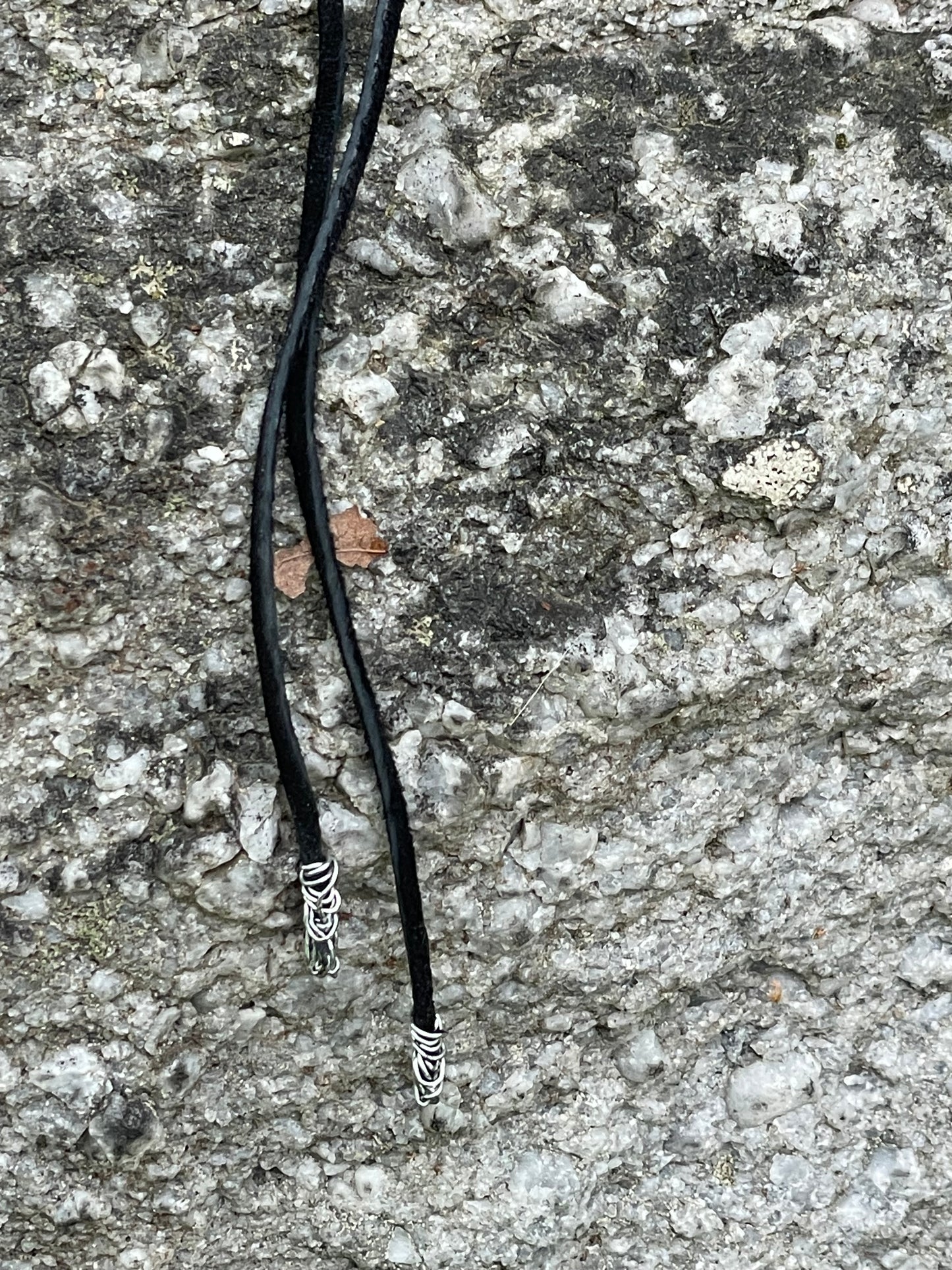 Coyote Vertebrae Bolo Tie