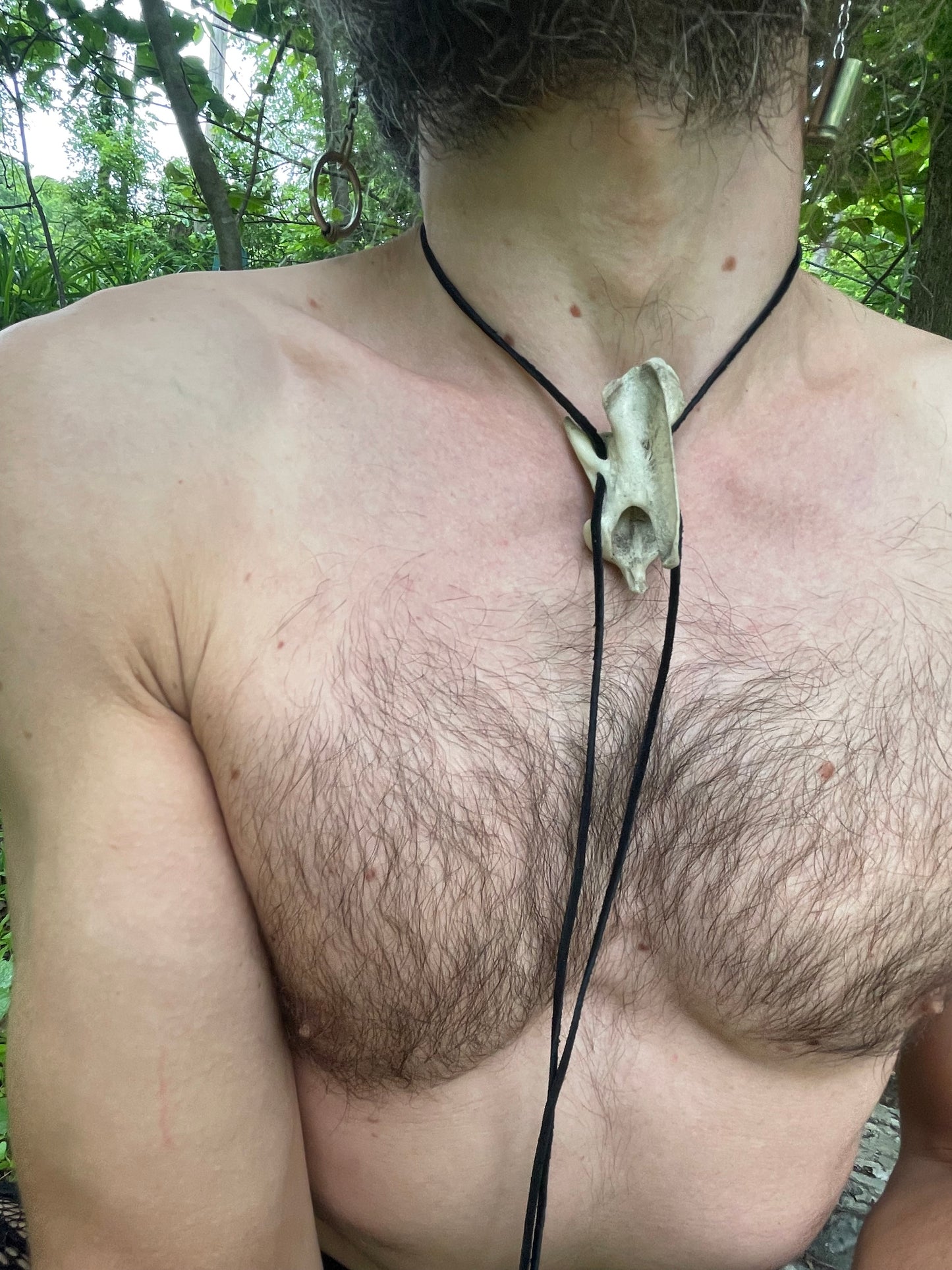 Coyote Vertebrae Bolo Tie